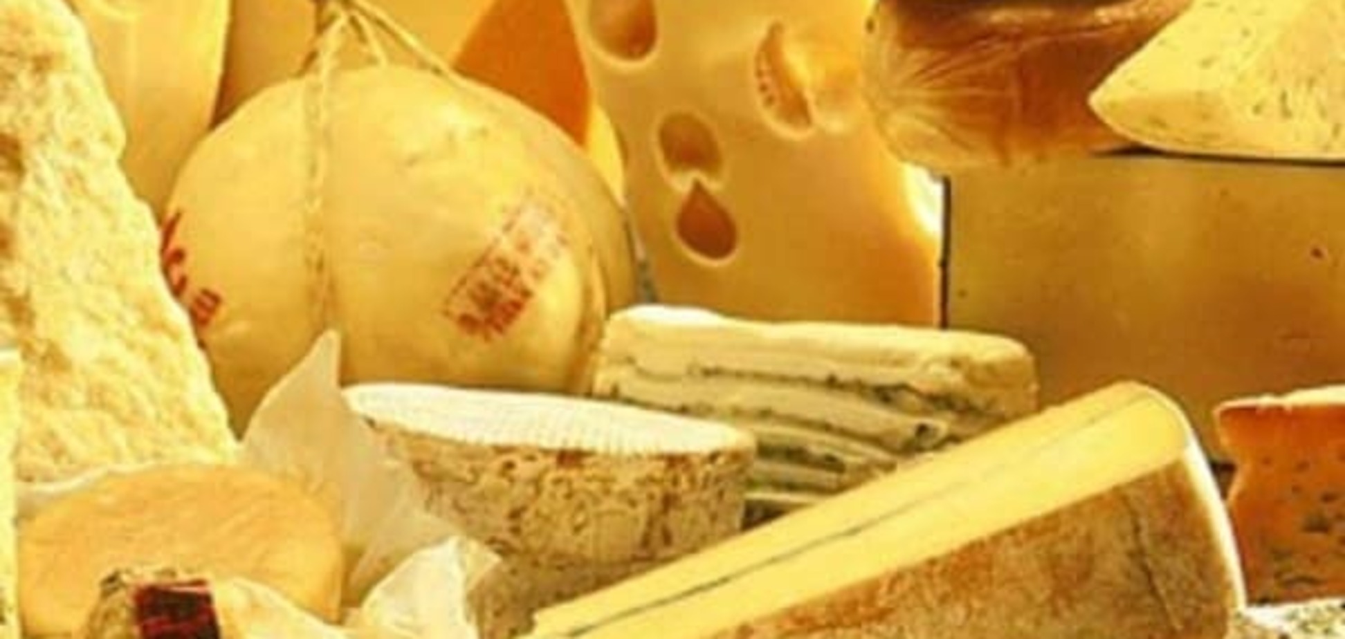 Состав сыра и его полезные свойства