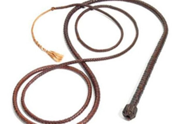 Батіг Індіани Джонса продали за 31 тисячу доларів