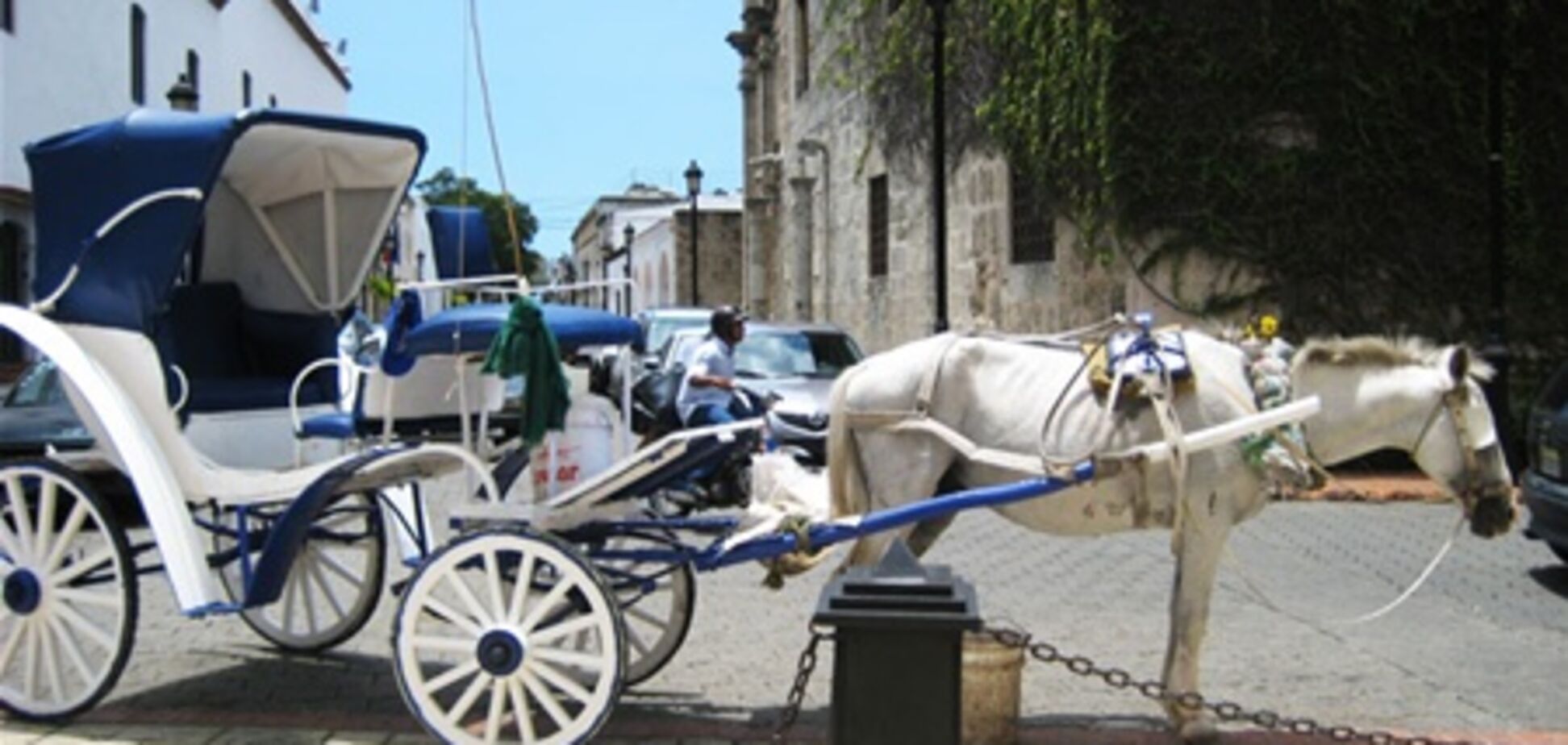 В столице Доминиканы туристов возят в расписных каретах