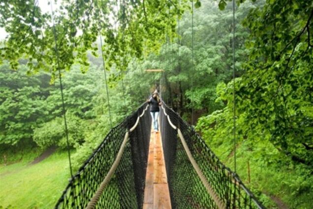 У Німеччині відкрилася 'стежка над кронами дерев'