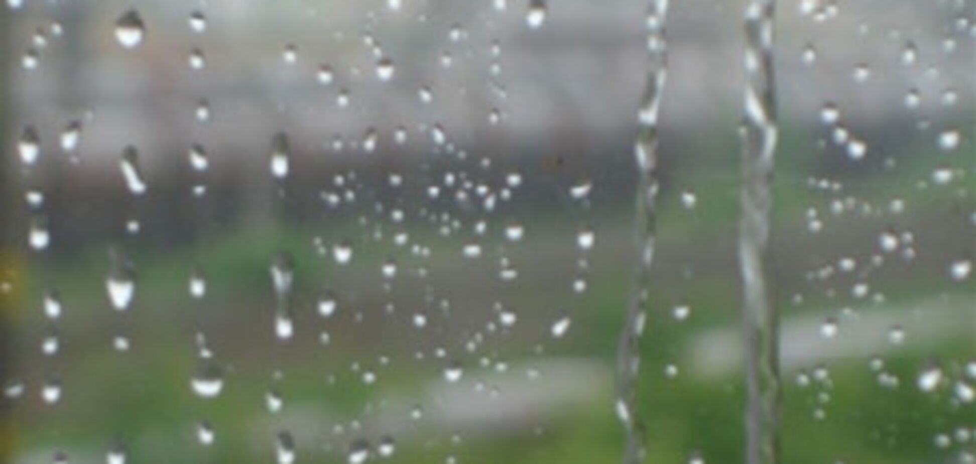 День Конституции испортят дожди