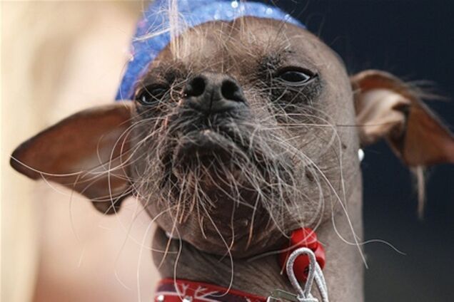 Хто тут у нас самий потворний?