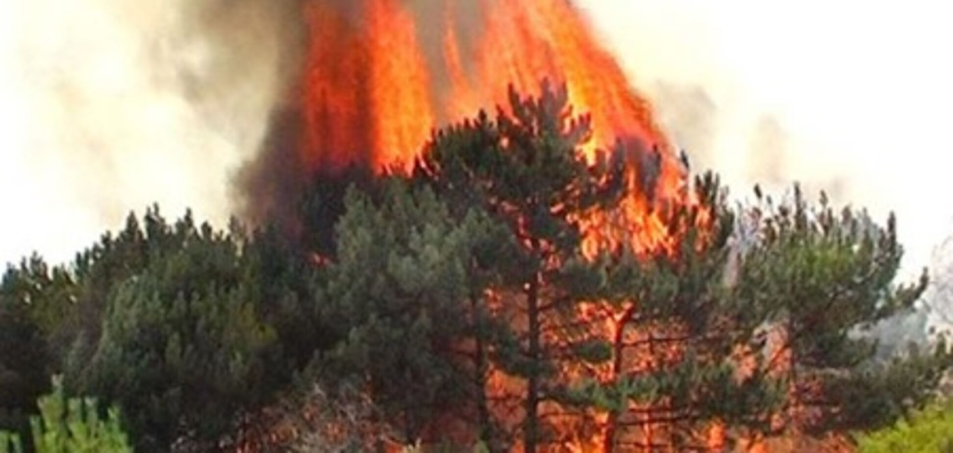 В Ялтинском заповеднике продолжают тушить пожар