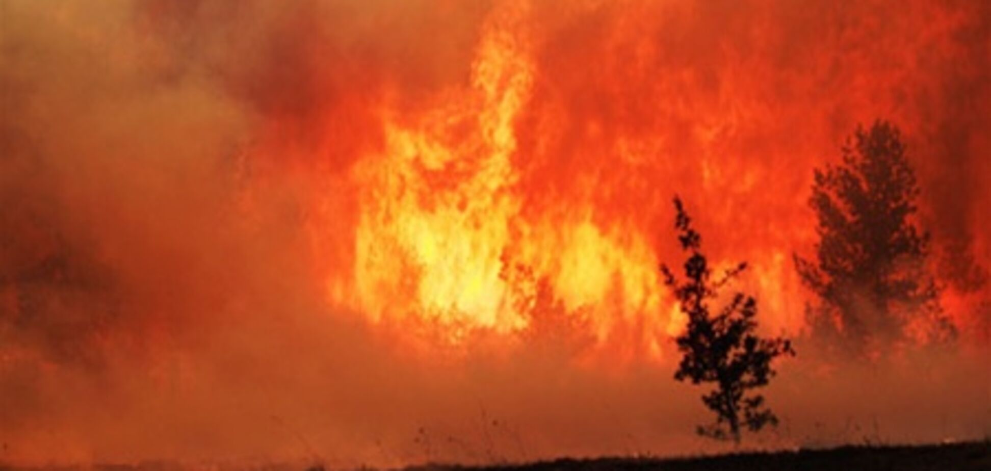 Пожар в Ялтинском заповеднике усилился