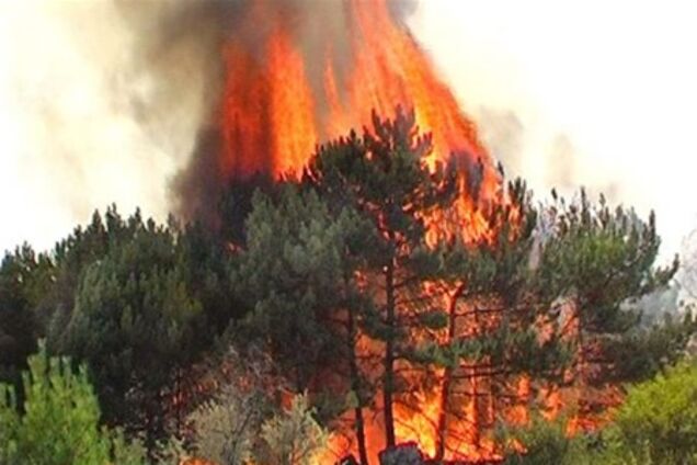 МНС пояснило, чому не вдається загасити пожежу в Ялтинському заповіднику