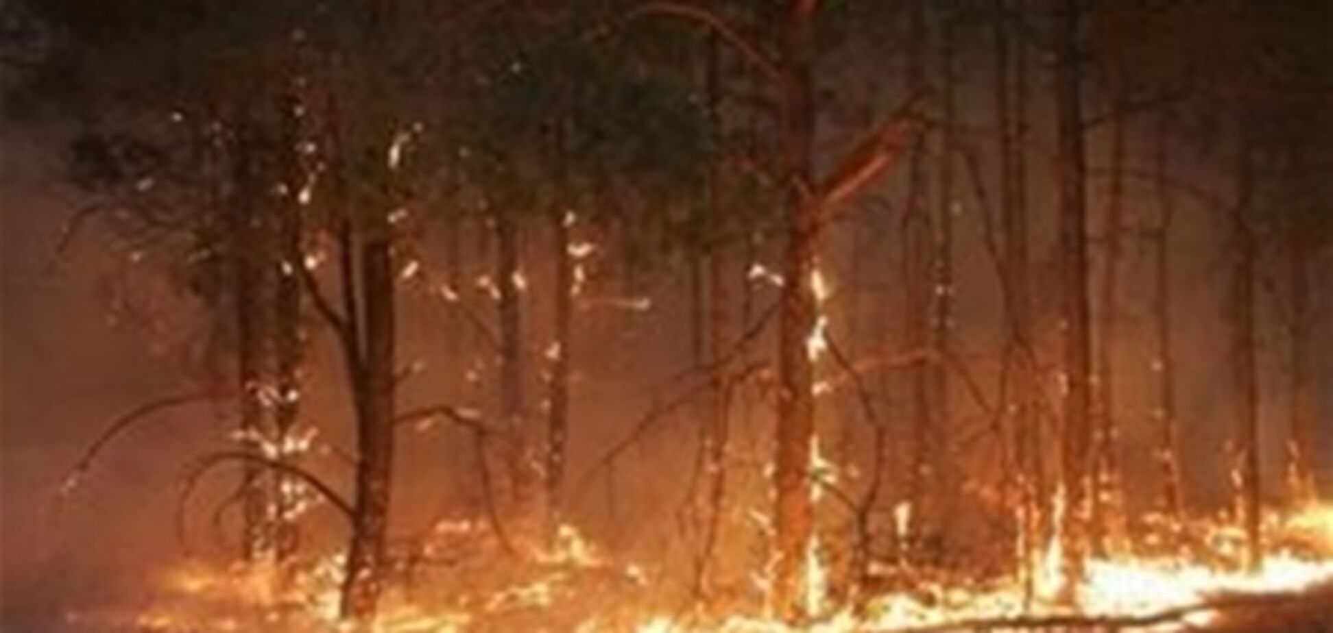 К тушению пожара в Ялтинском заповеднике привлекли еще один вертолет и два самолета