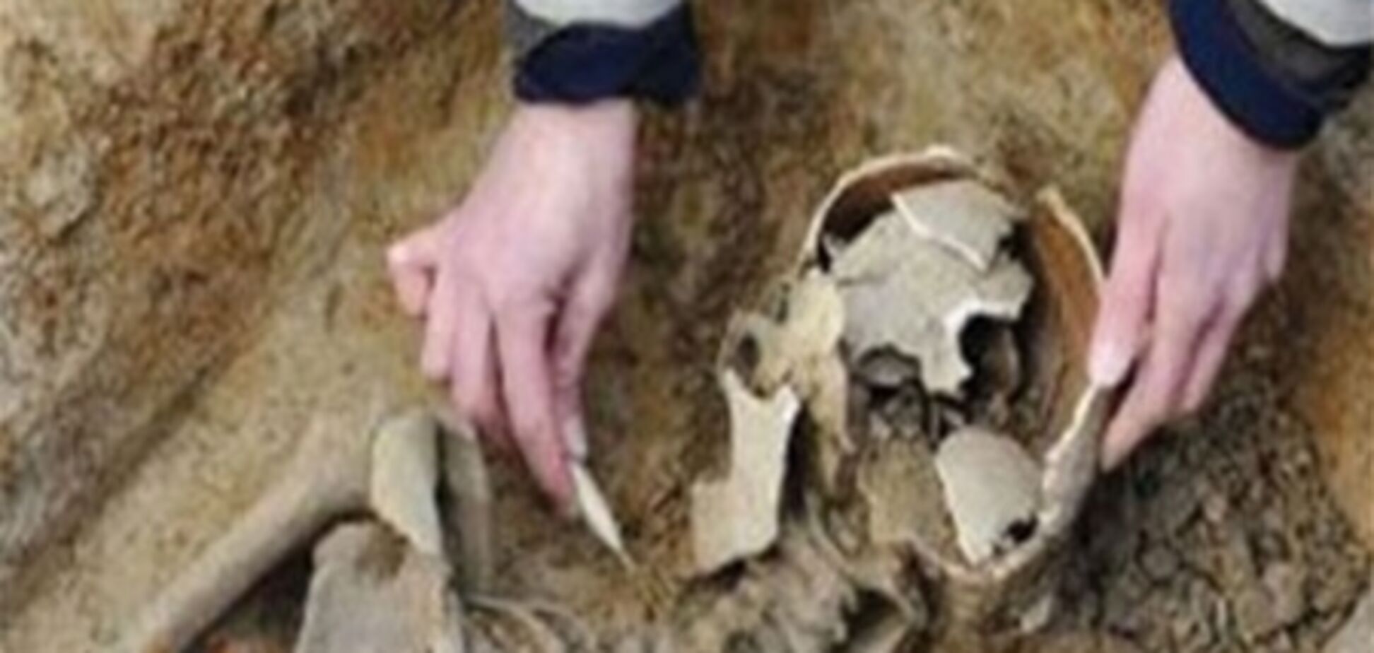 В Болгарии нашли еще один скелет 'вампира'