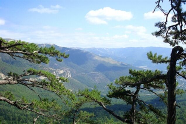 800 человек тушат пожар в Ялтинском заповеднике