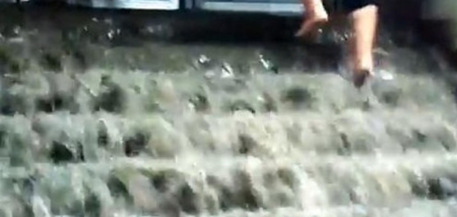 Из-за потопа закрыли станцию метро «Вырлица»