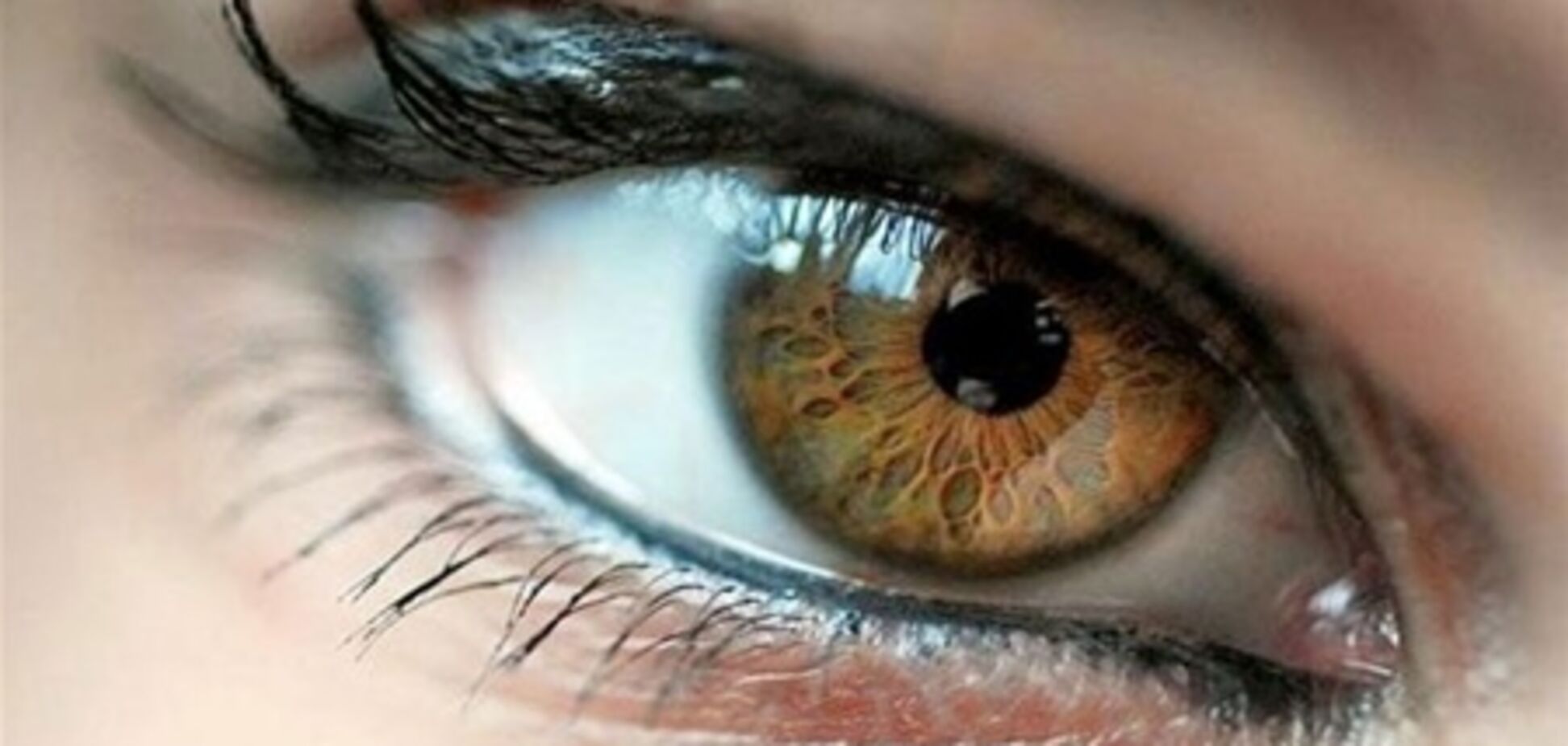 Глаза откроют секреты мозга     