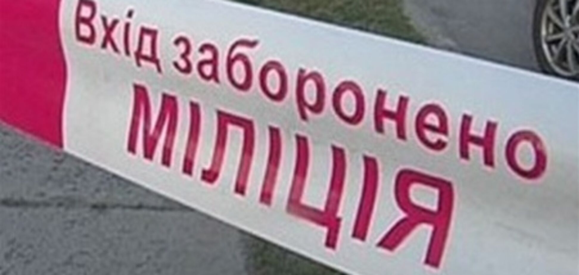 МВД зафиксировал первое правонарушение иностранным болельщиком