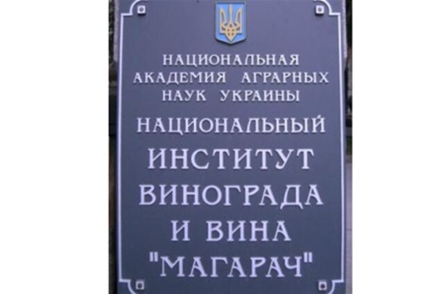 Новое руководство 'Магарача' развенчало все слухи вокруг Института