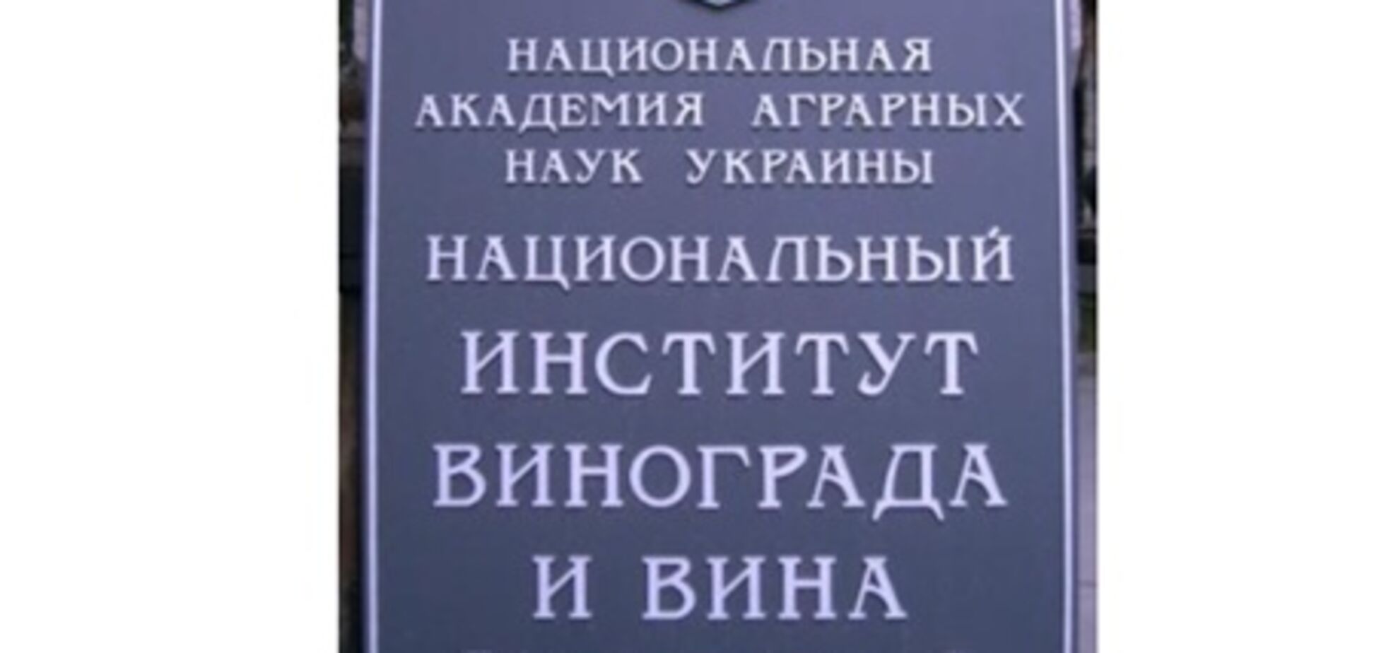 Новое руководство 'Магарача' развенчало все слухи вокруг Института