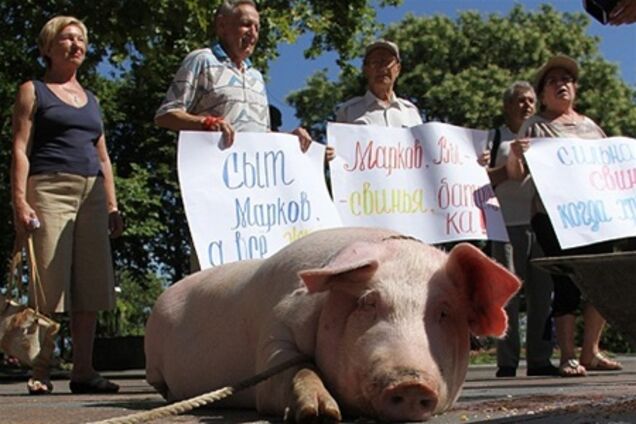 До мерії Одеси принесли свиню