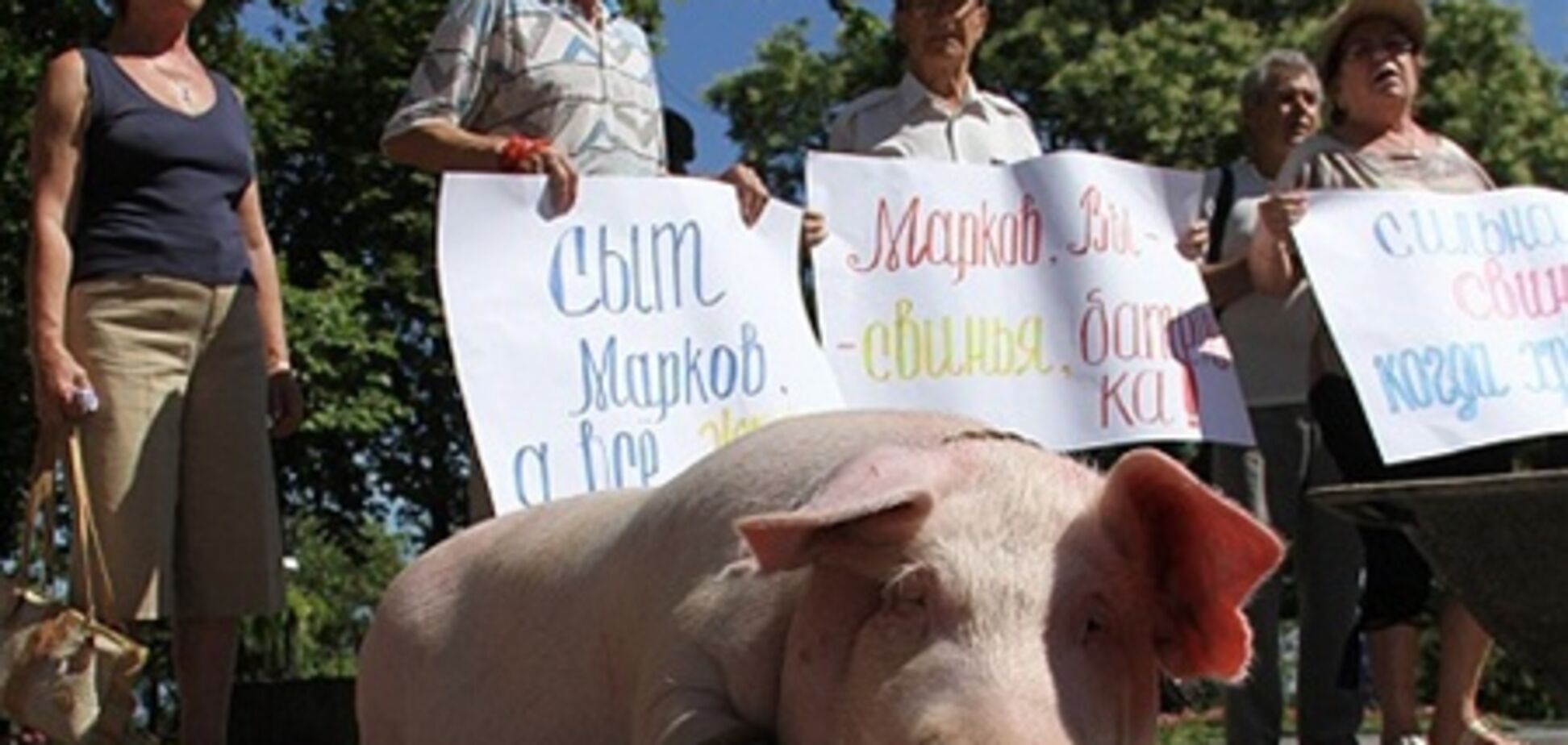 До мерії Одеси принесли свиню