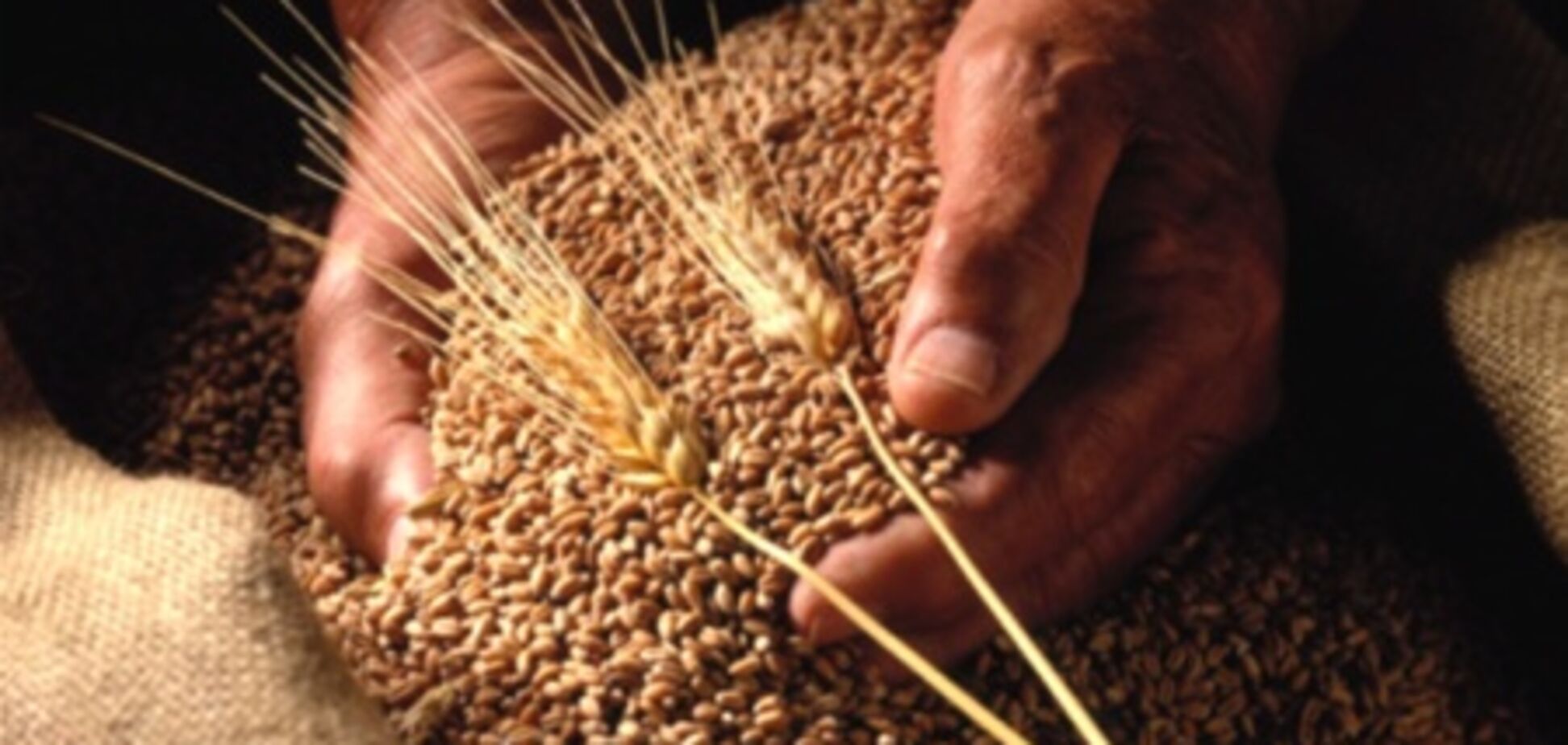 Зернышко к зернышку