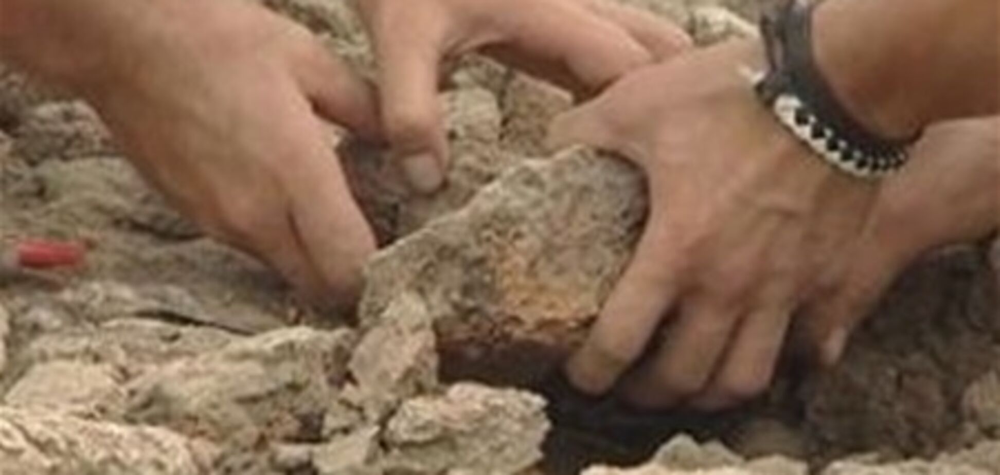 На Луганщині розкопали унікальну стоянку давніх людей