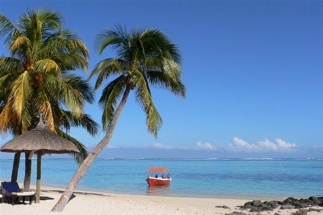 На Мадагаскаре можно посмотреть на лемуров и каменный лес