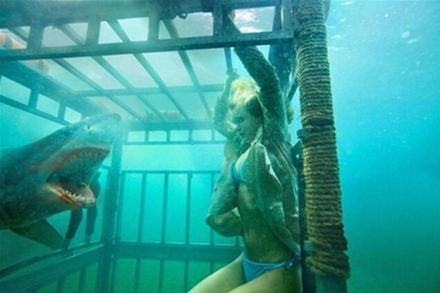 Топ-5 мест, где туриста могут съесть дикие животные. Фото