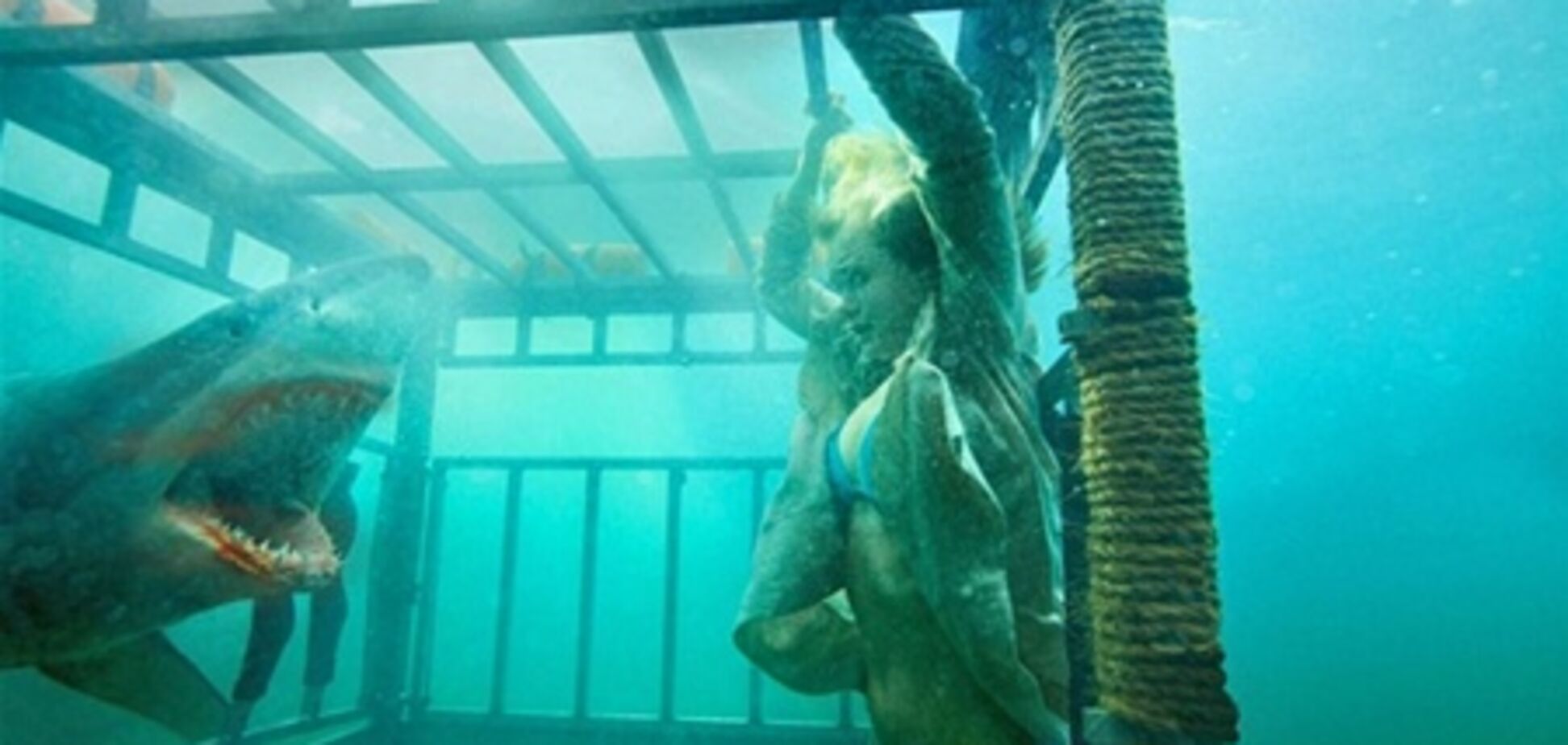 Топ-5 мест, где туриста могут съесть дикие животные. Фото