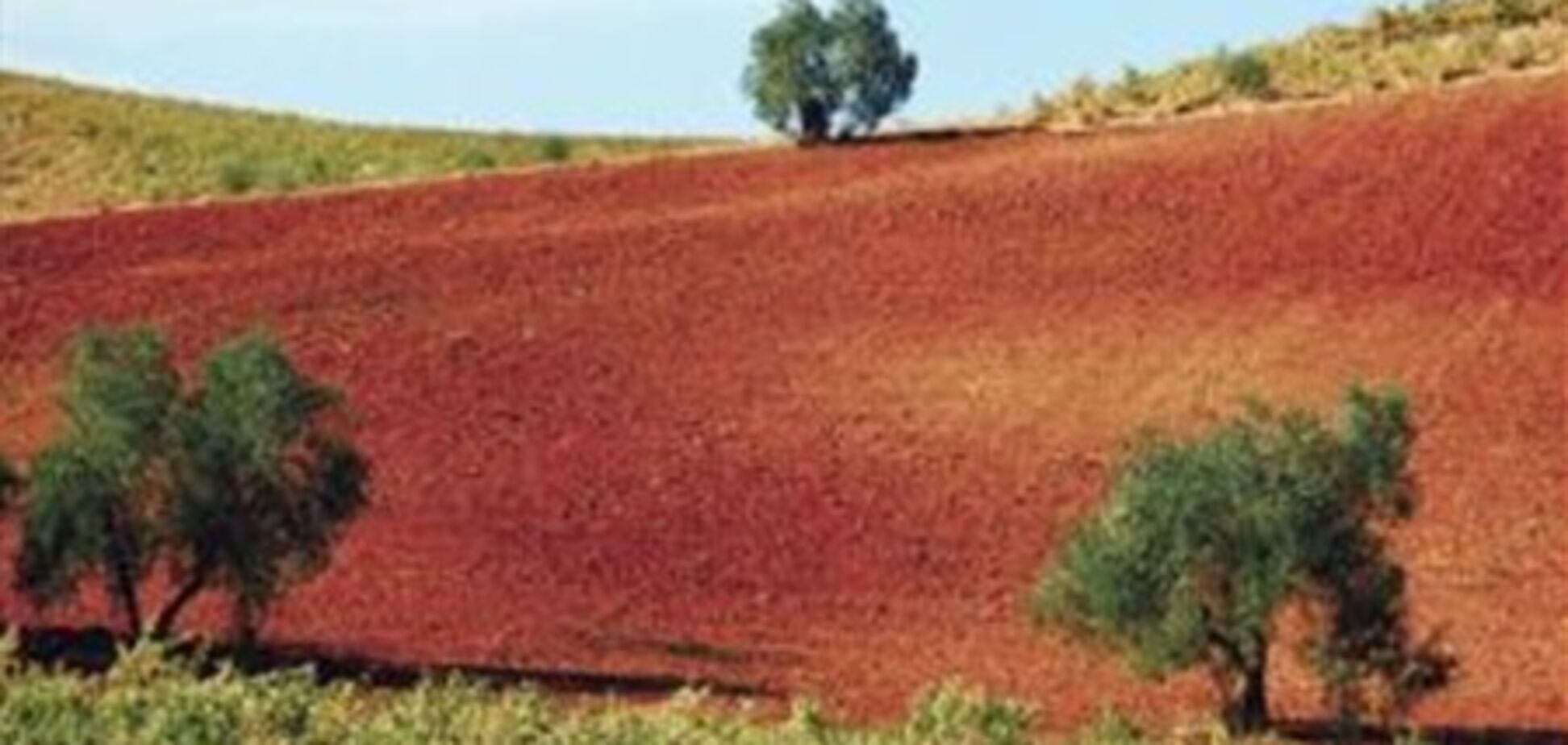 В Украине увеличат налог на землю