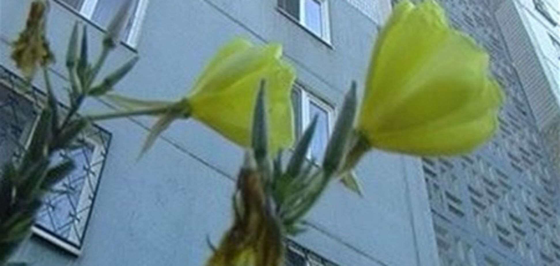 Квартиры в Киеве подешевели