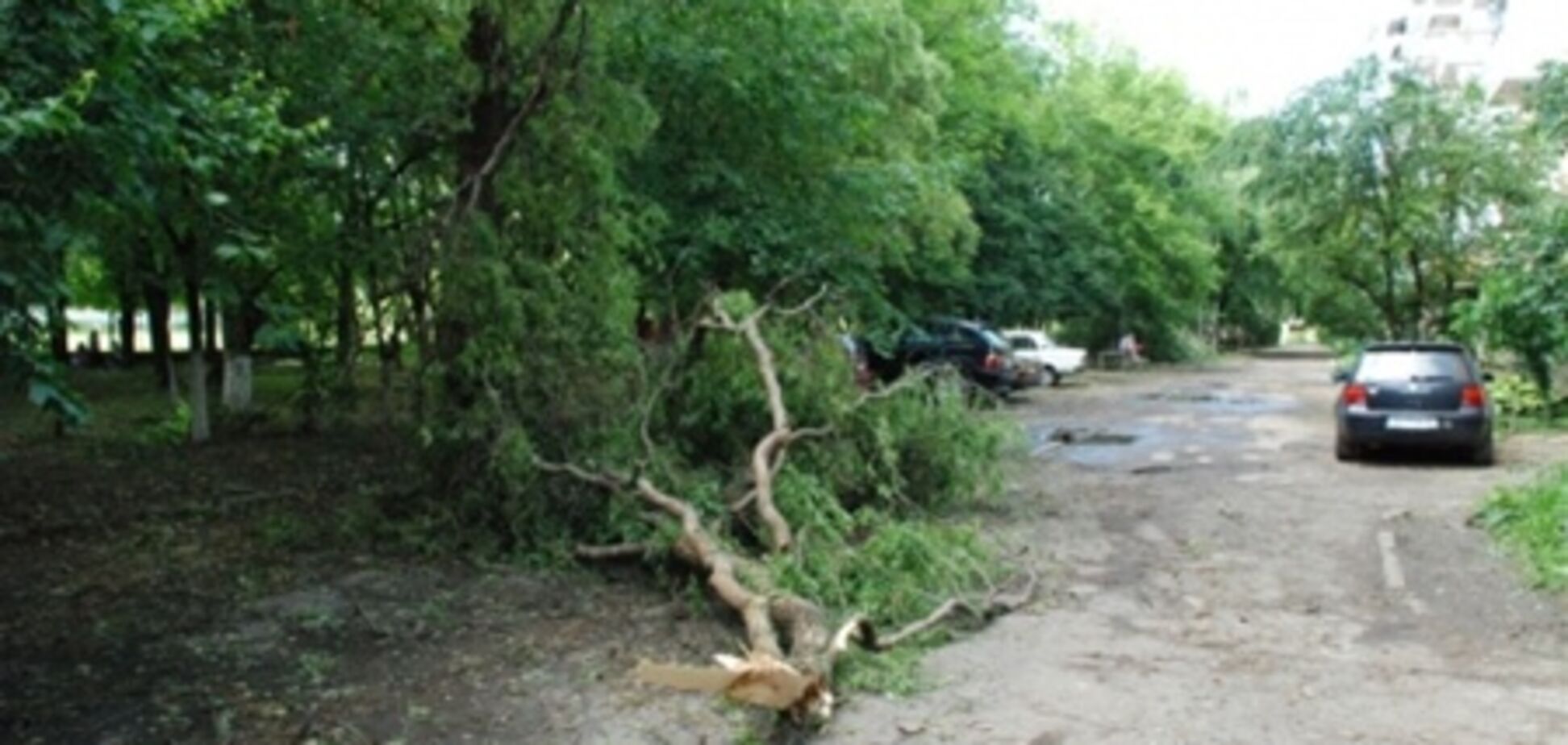 Ураган на Черкасщине повредил тысячи домов в частном секторе