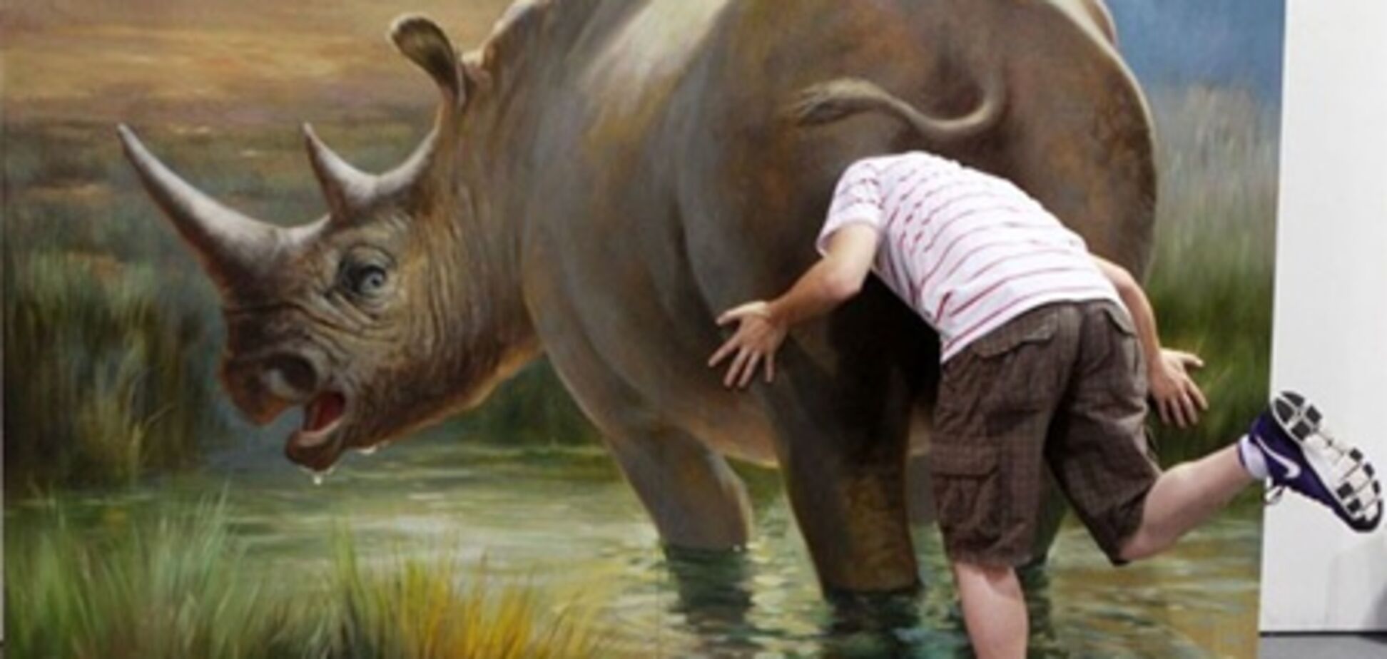 Носороги и акулы на выставке 3D-картин в Китае. Фото