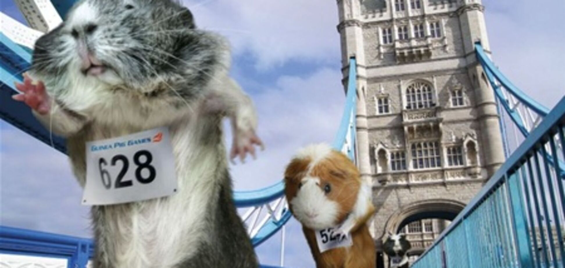 Олимпийские морские свинки покорили Лондон. Фото