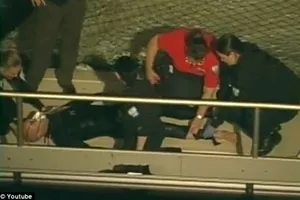 В США опубликовали видео нападения касатки на дрессировщика