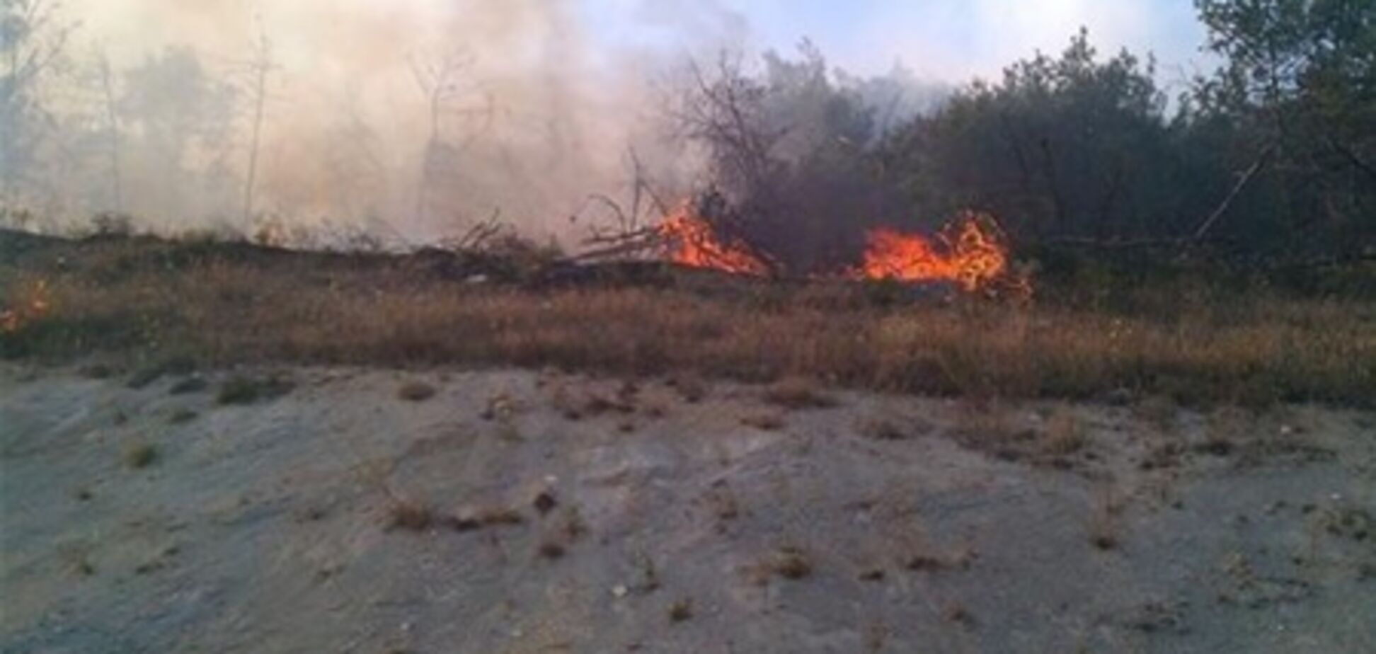 У Севастополі згоріло 9 га лісу