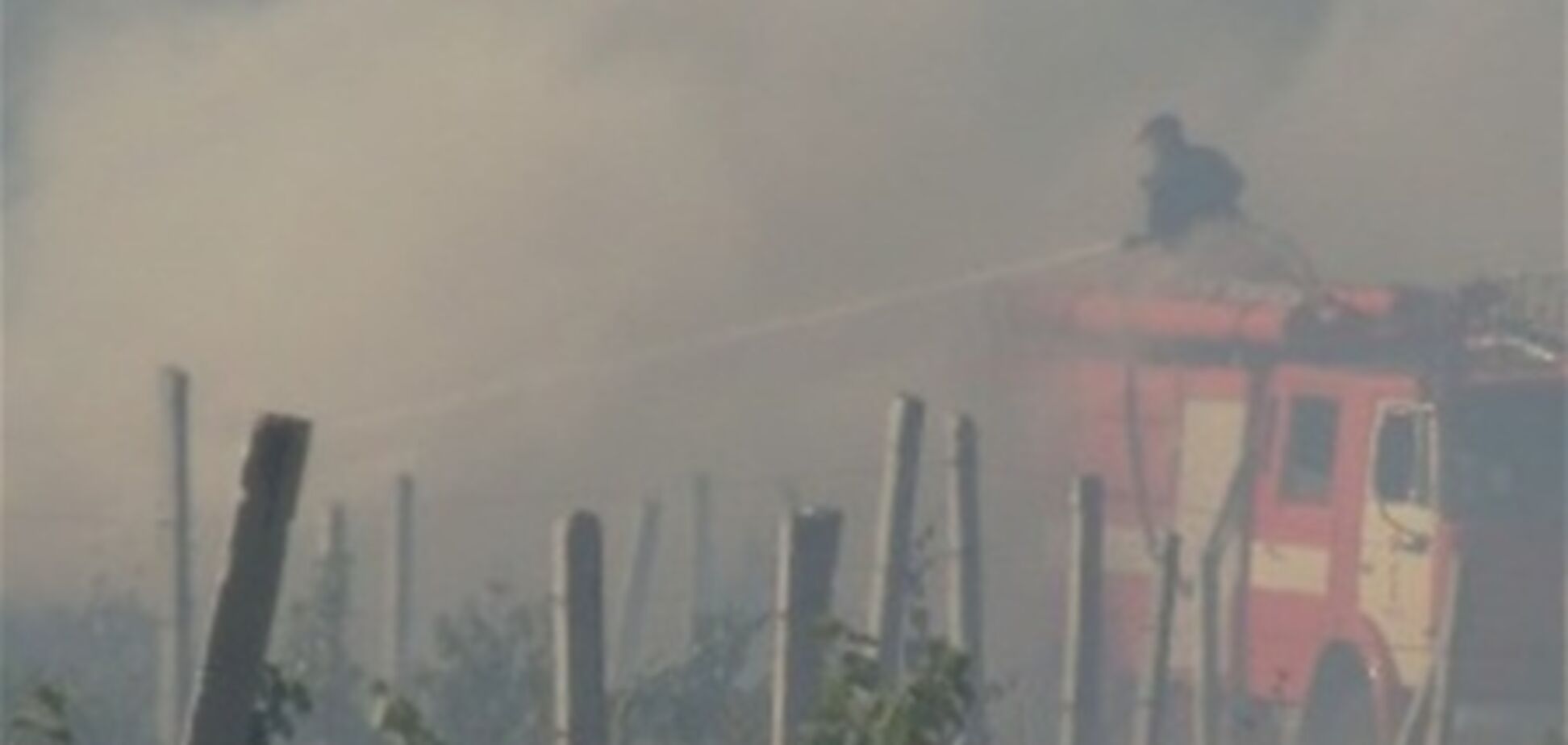 В Севастополе 12 часов горели виноградники