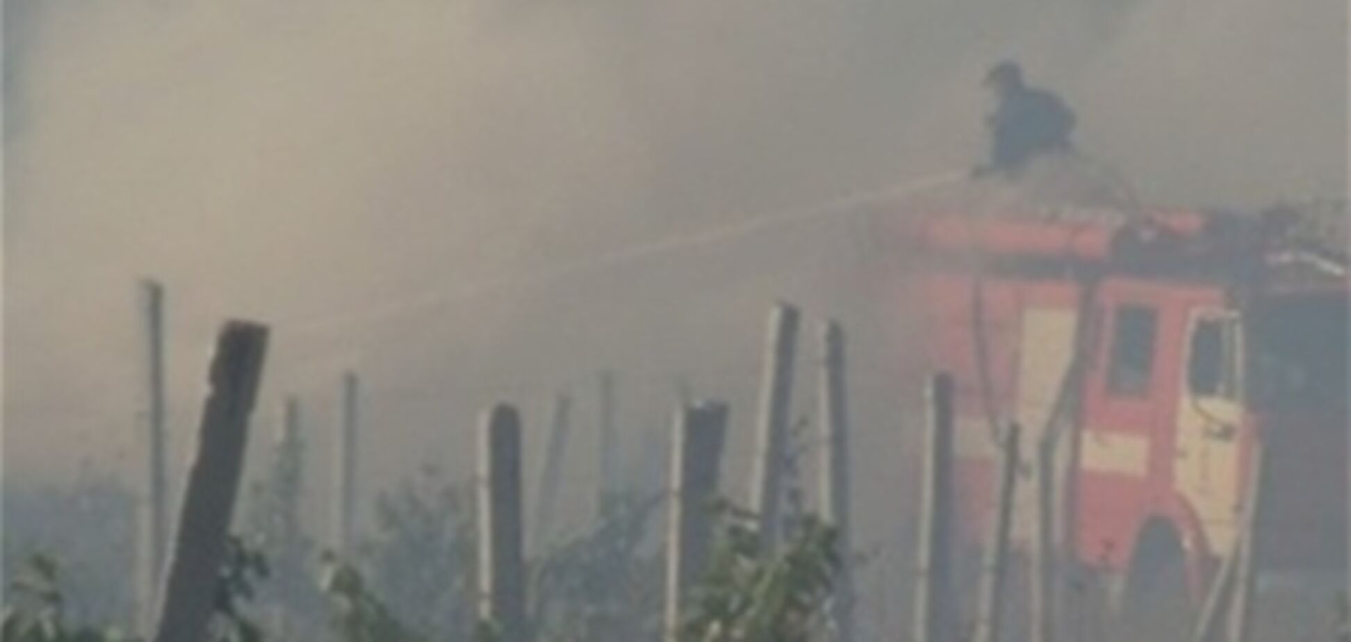 В Севастополе сгорели 40 гектаров виноградников