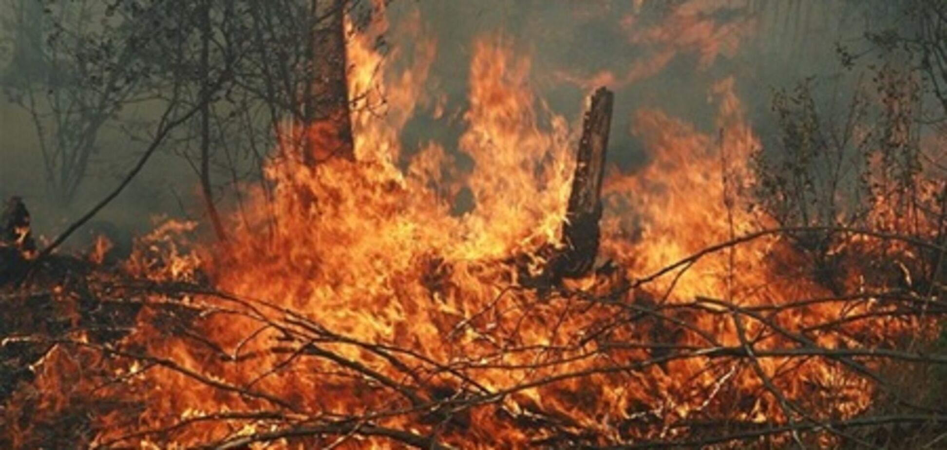На Дніпропетровщині горіли 38 га лісу