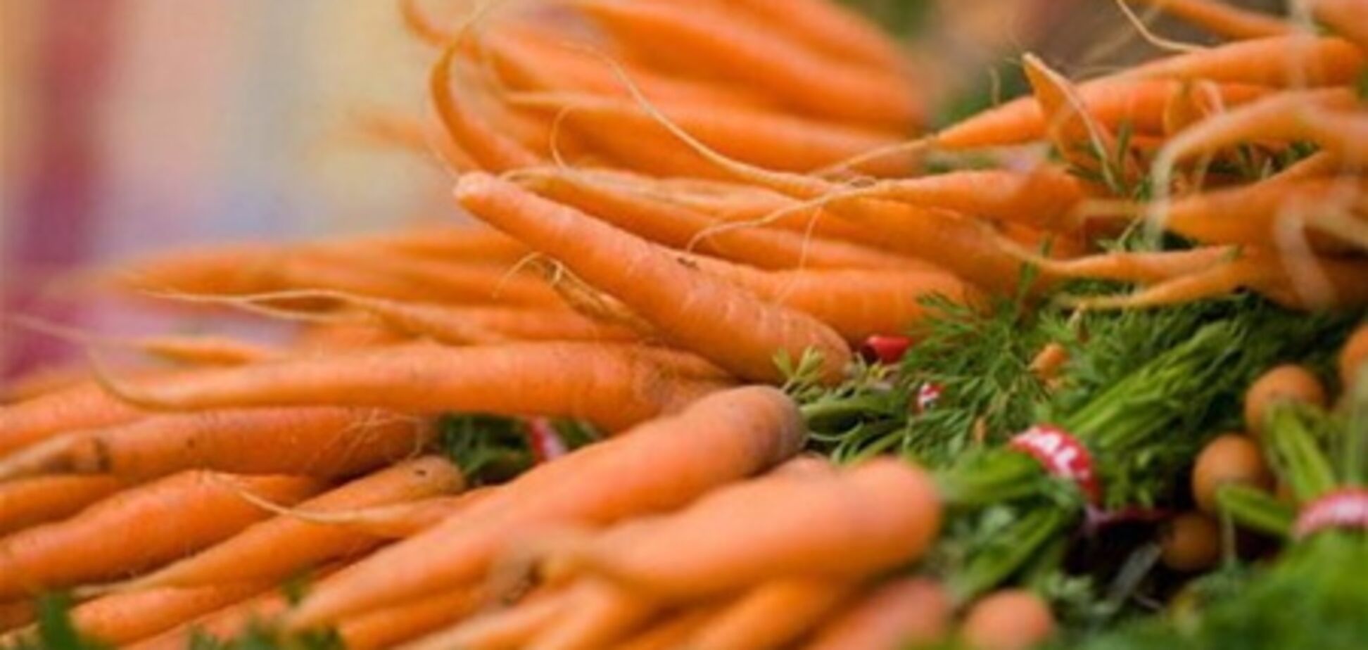 Топ-5 продуктов для похудения летом