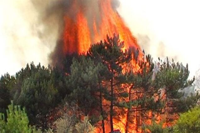 При тушении лесного пожара в Испании разбились два вертолета 