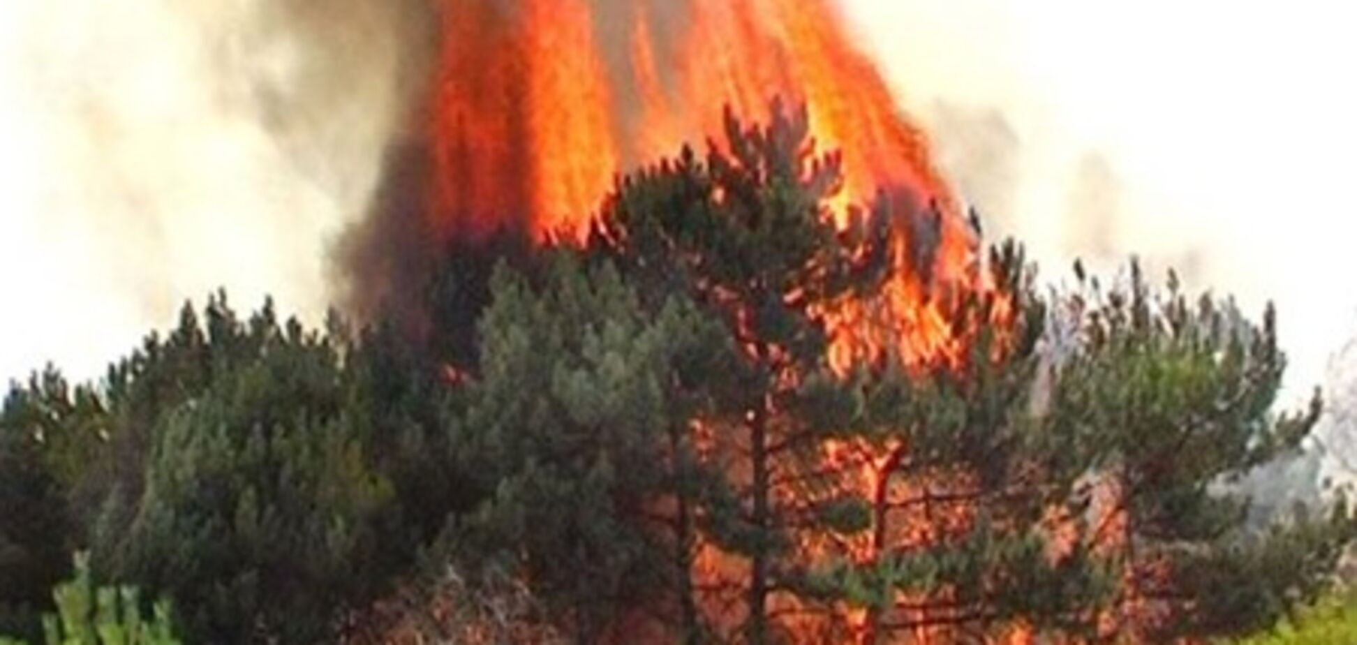 При тушении лесного пожара в Испании разбились два вертолета