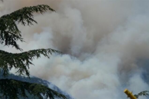 Вблизи Ялты горит уже почти 5 га леса