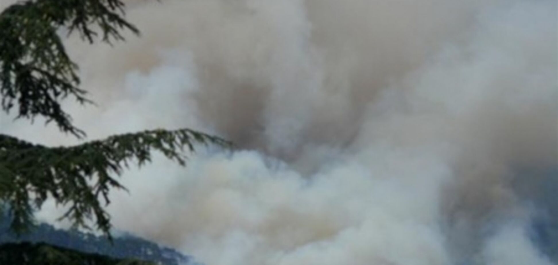 Возле Ялты горит уже 10 га заповедника