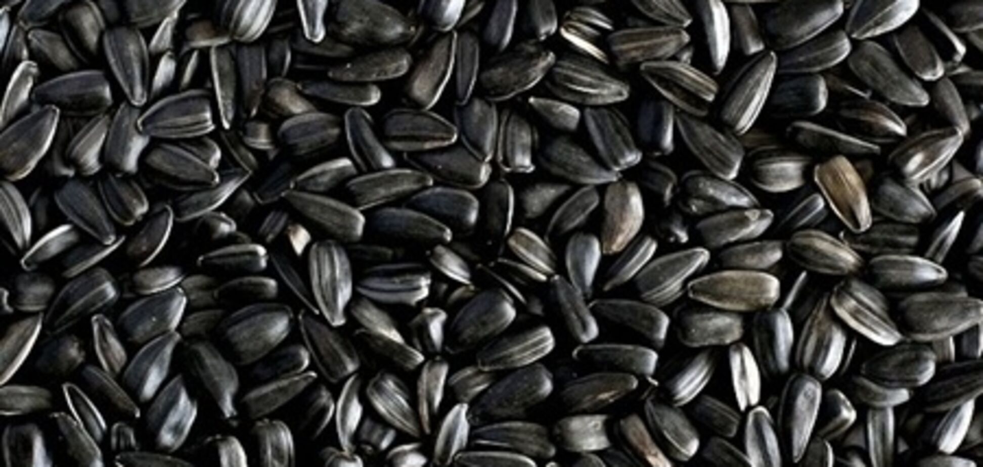 Під Луганськом депутат поцупив насіннячок майже на 1 млн грн