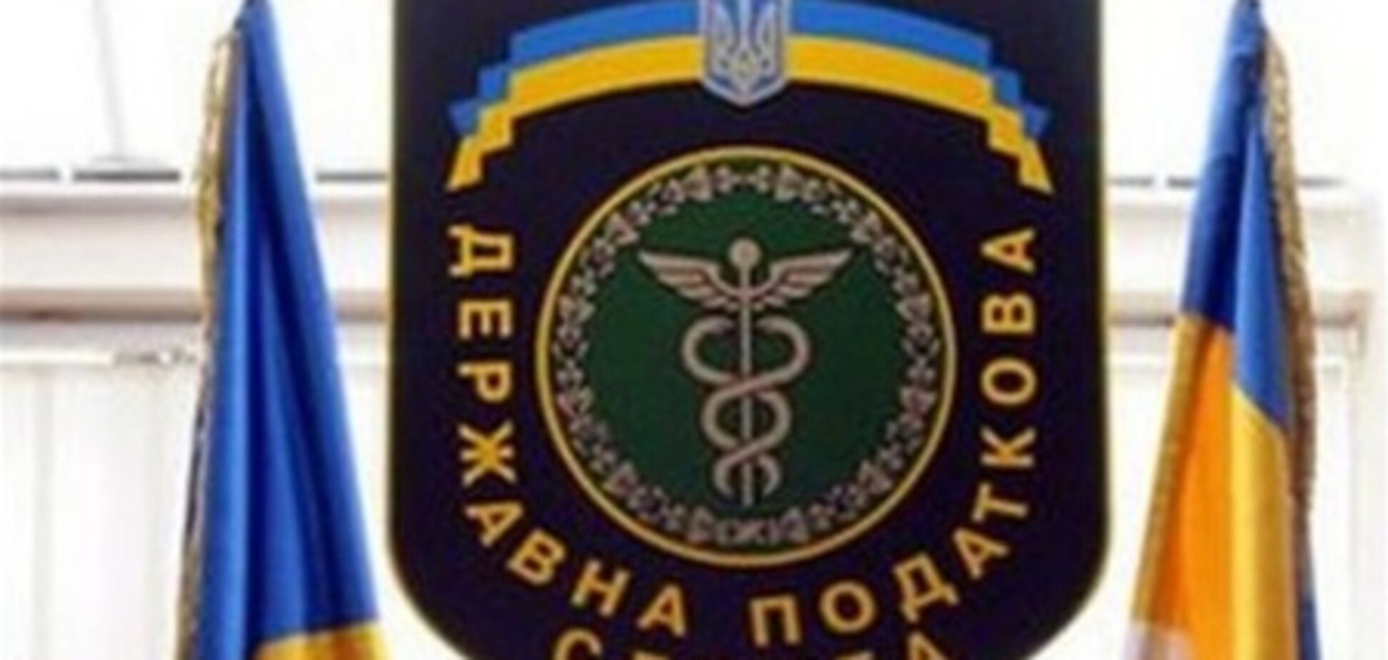 Рада лишила налоговую большинства полномочий