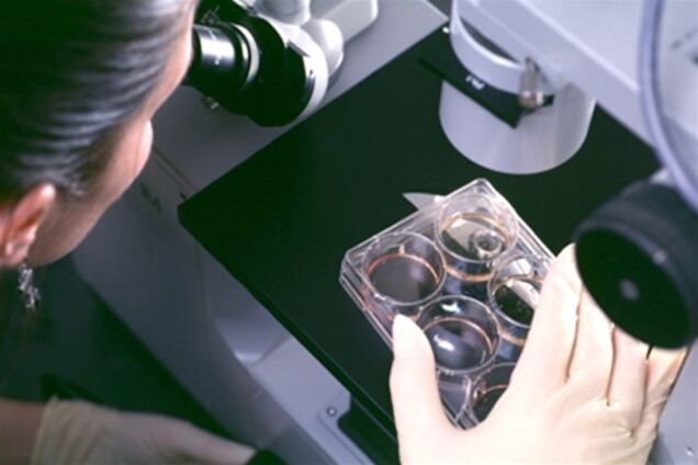 Украинская наука: потерянный потенциал?