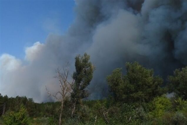 У справі про підпали в Херсонських лісах є підозрюваний і свідок