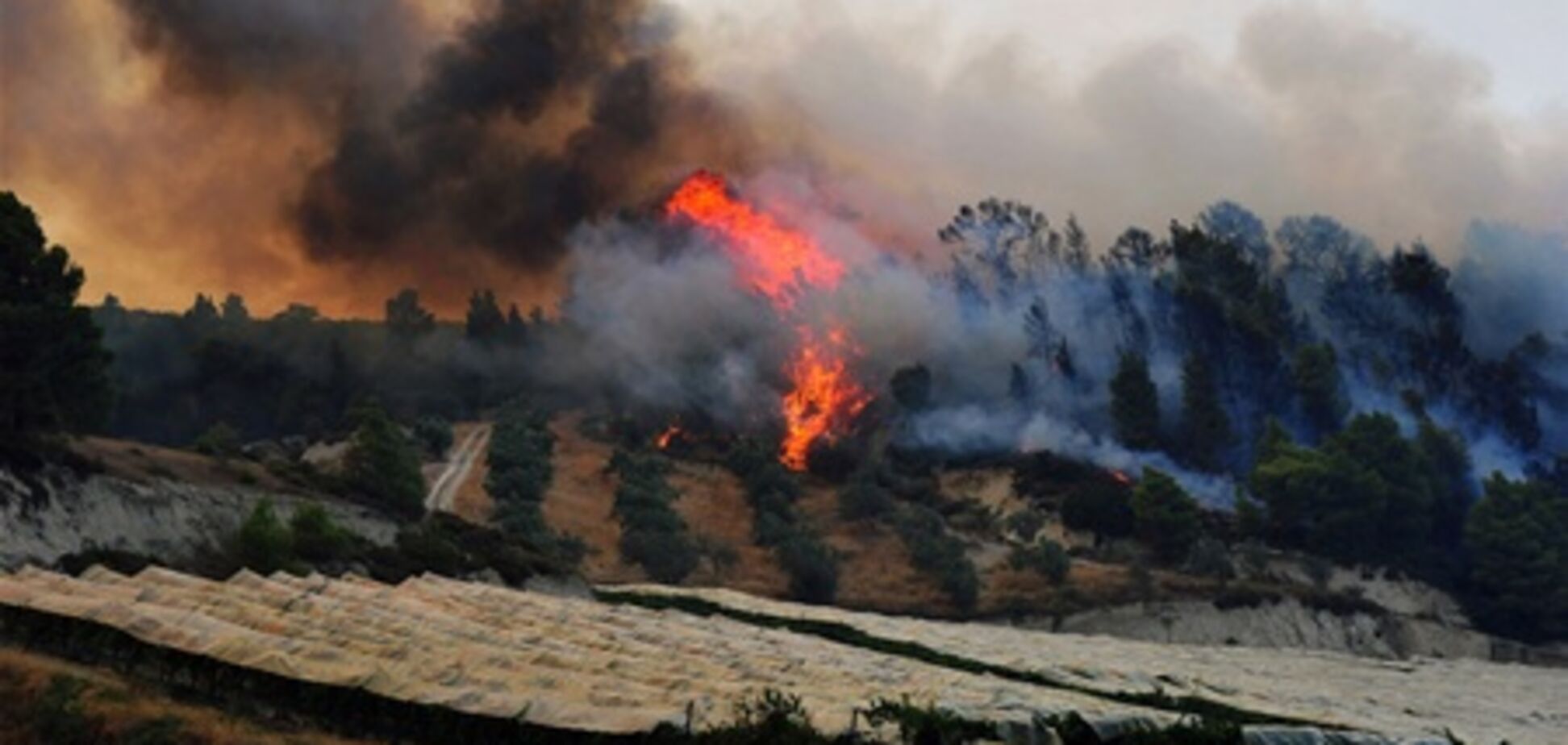 У Греції четверту добу горить свята гора Афон