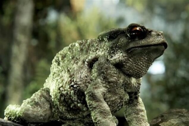 Графика в играх теперь напоминает живой мир. Видео  