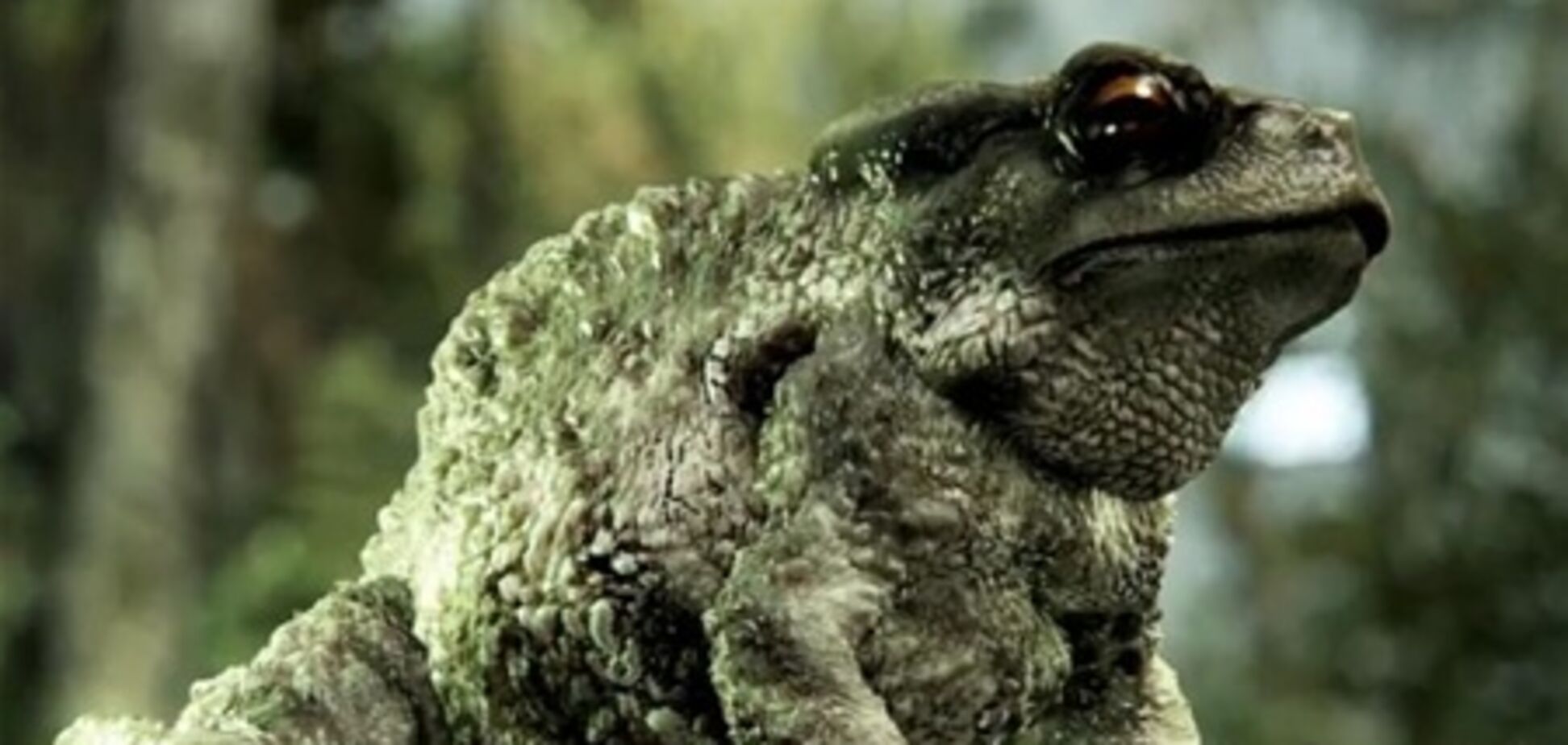 Графика в играх теперь напоминает живой мир. Видео