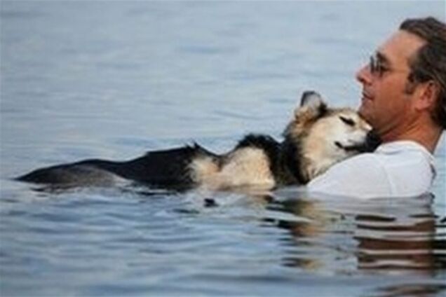 Американец ежедневно носит больного пса к озеру, чтобы тот поспал