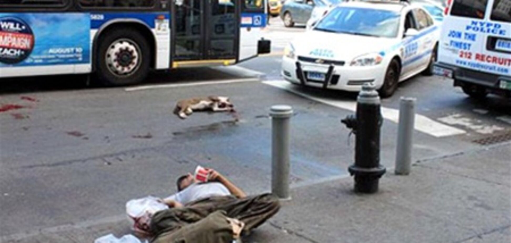 В США собака бросилась под пулю, спасая хозяина. Фото