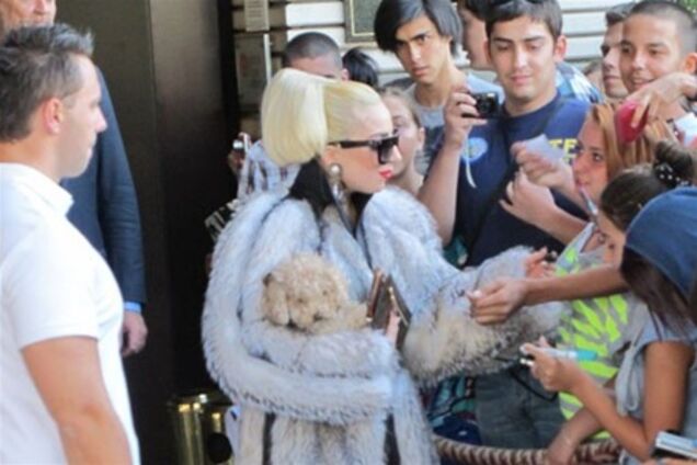 Гага ответила на угрозы защитников животных