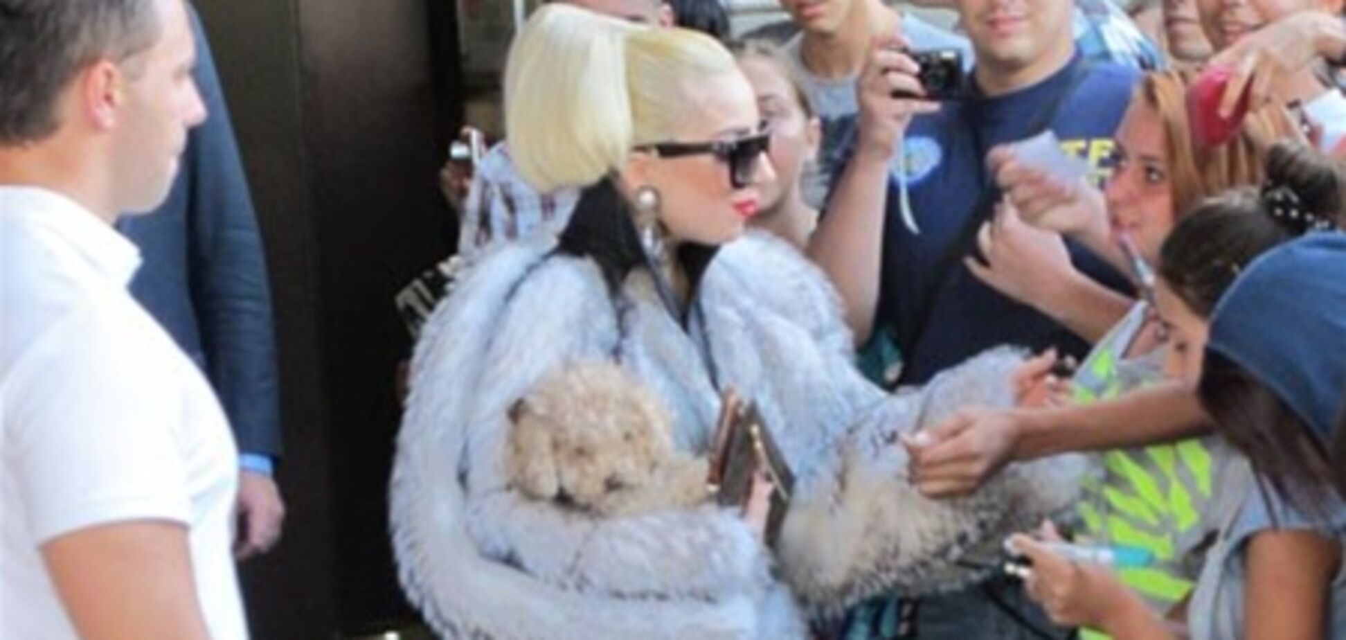 Гага ответила на угрозы защитников животных